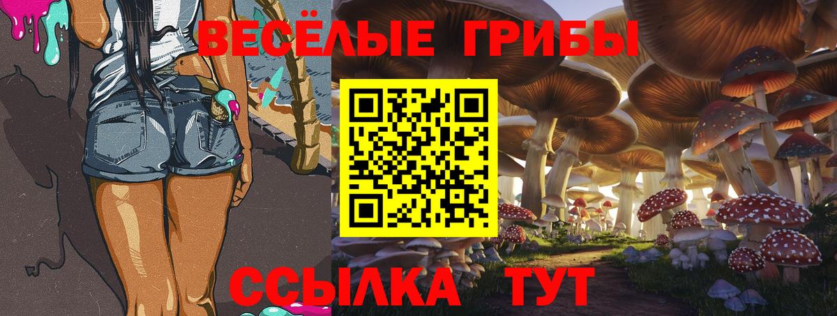 Галлюциногенные грибы ЛСД  Вход с VPN  Сланцы 